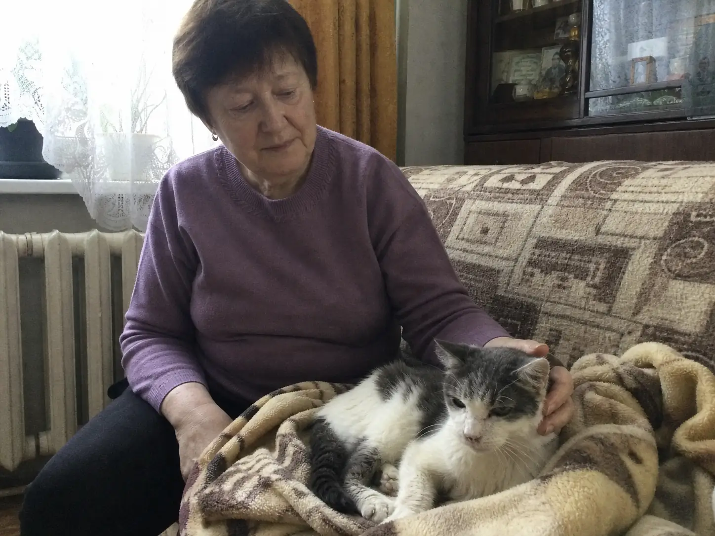 Валентина, возрастная кошка, ЦАО