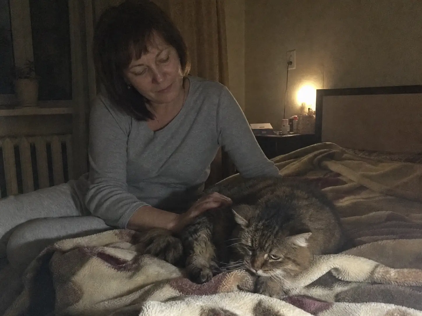 Юлия, кошка, поздний вызов, Москва