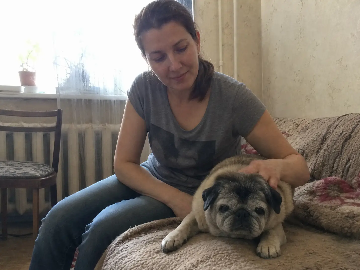 Анна, пожилой мопс, САО