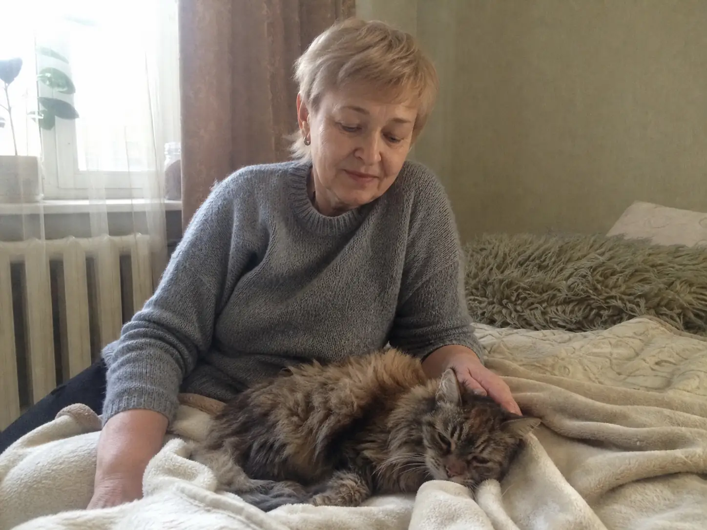 Галина, возрастная кошка, СВАО