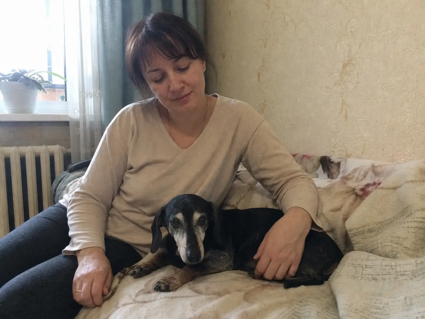 Ирина, такса с проблемами позвоночника, Москва