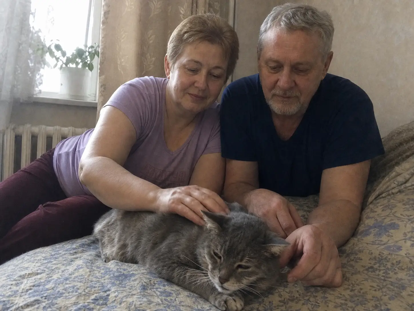 Семья К., возрастной кот, СВАО
