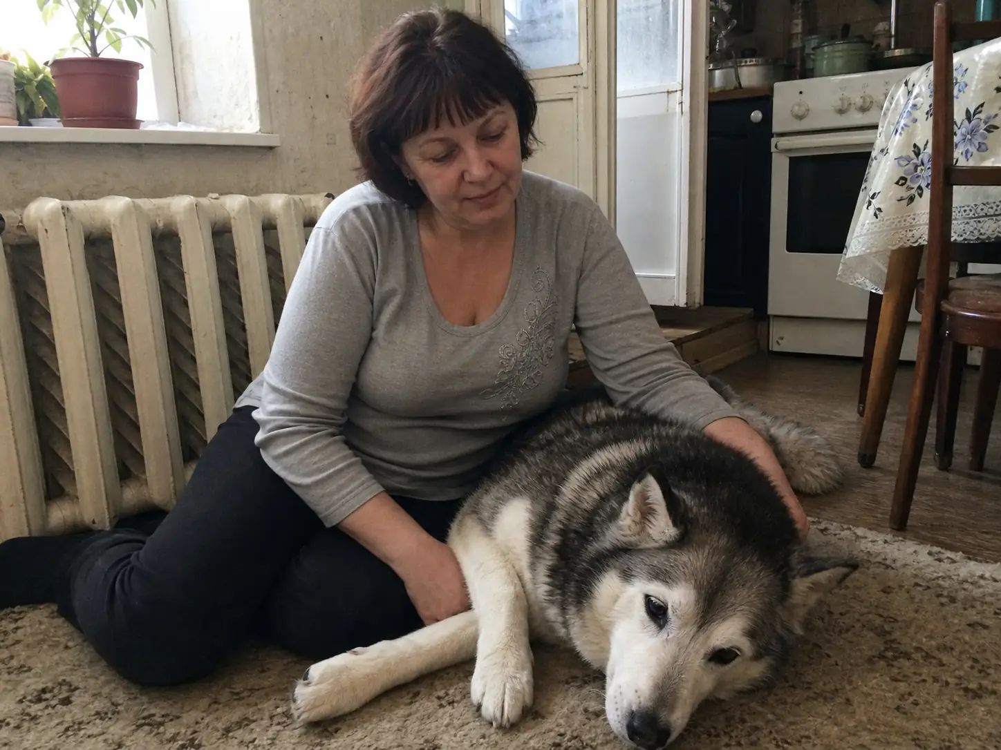 Людмила, пожилая собака, Север Москвы