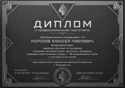 Диплом Морозова Алексея Павловича — ДВ-2023-0287