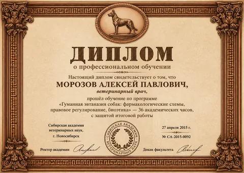 Диплом Морозова Алексея Павловича — СА-2015-0092