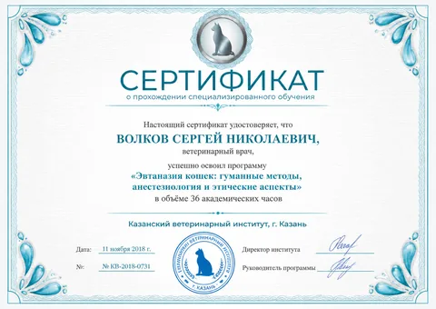Сертификат Волкова Сергея Николаевича — КВ-2018-0731